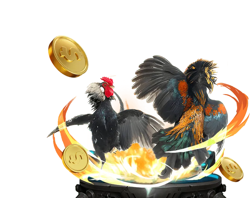 Giao diện cá cược đá gà vn123 vip